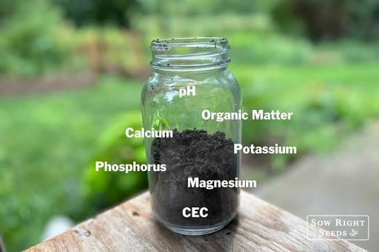 Garden Soil Testing: What the Results Mean and How to Act on Them garden soil test how to read results what to do