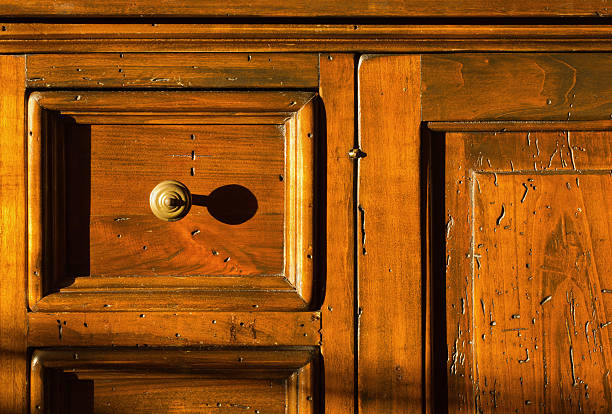 Woodworm Treatment Essex – Professional Timber Preservation & Woodworm Specialists woodworm treatment in Essex
